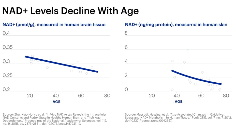 NAD+ levels decline with age