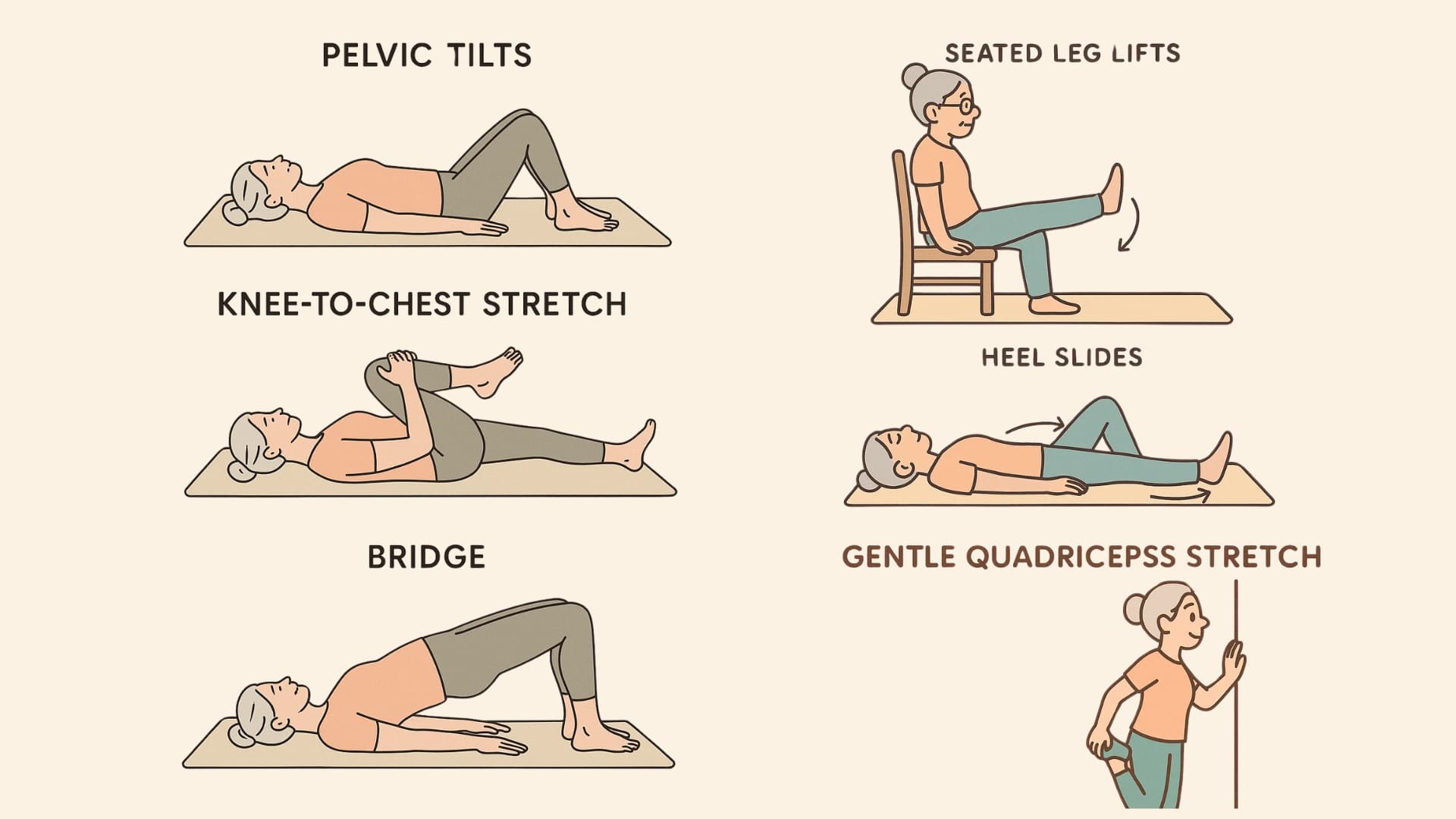 Illustration of senior woman performing wall push-ups, chair squats, and seated leg presses as part of gentle exercise routine.