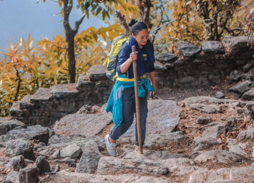 regenerative joint therapy