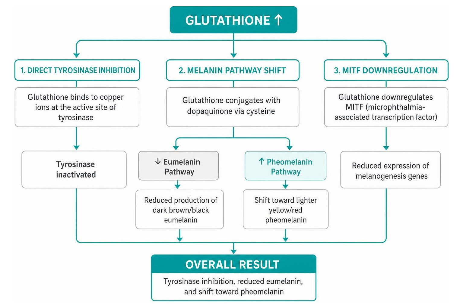 glutathione inhibitors Whitening Drip: Safe Glow? Skin Radiance